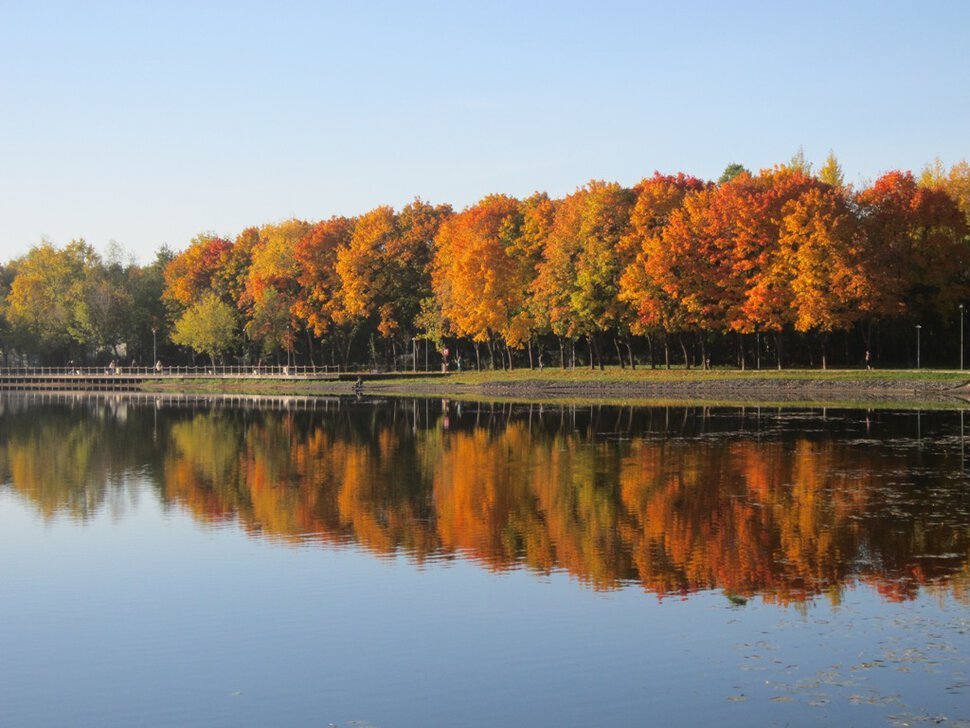 Яркие краски осени - Дмитрий Никитин