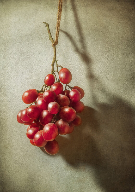 Виноград. - Oleg Rastorguev