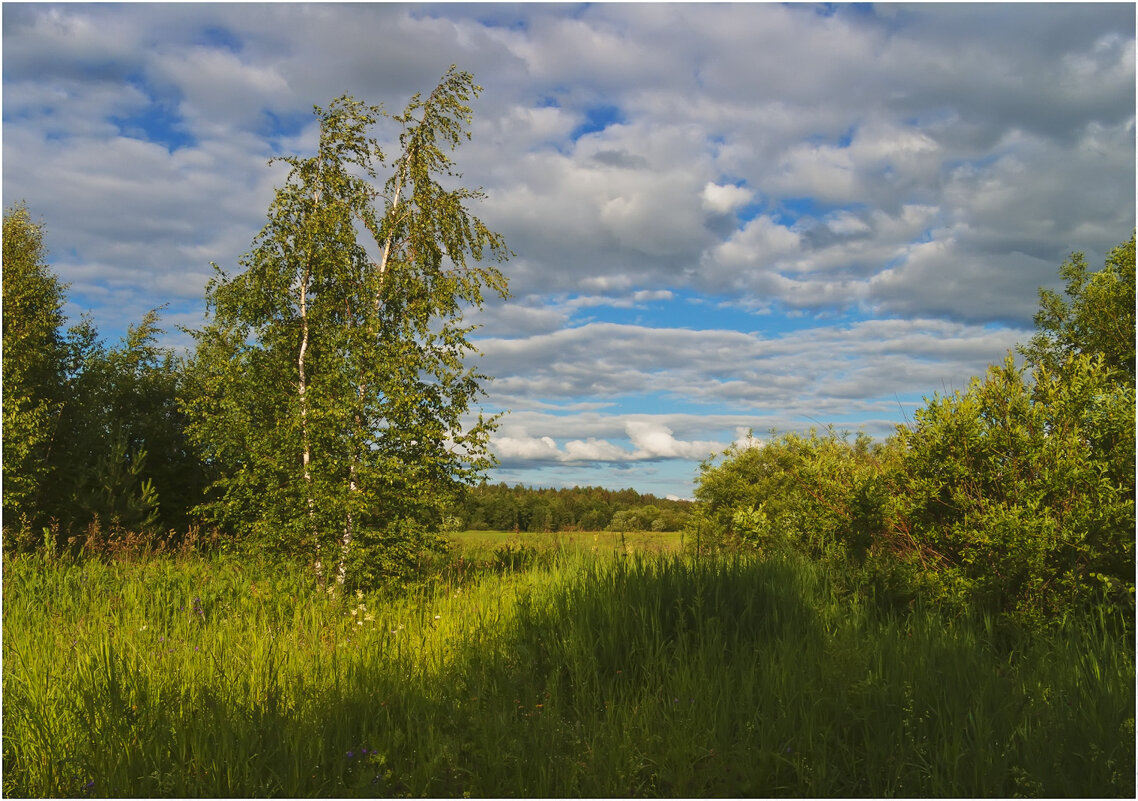 Летний этюд - Валентин Котляров