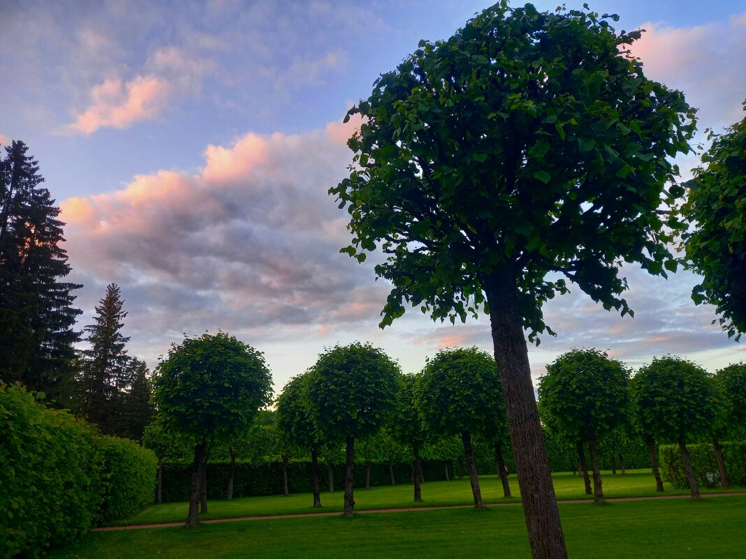 Закат - Сапсан 