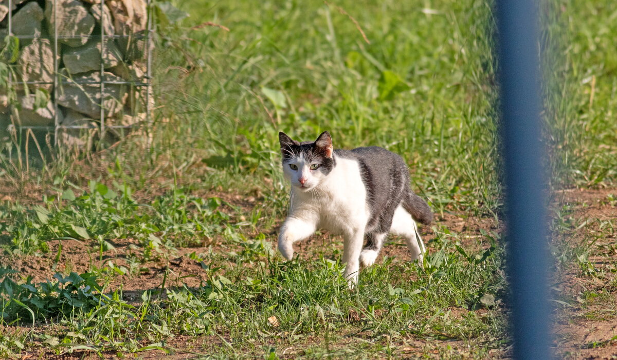 -- - vladimir -- - vladimir