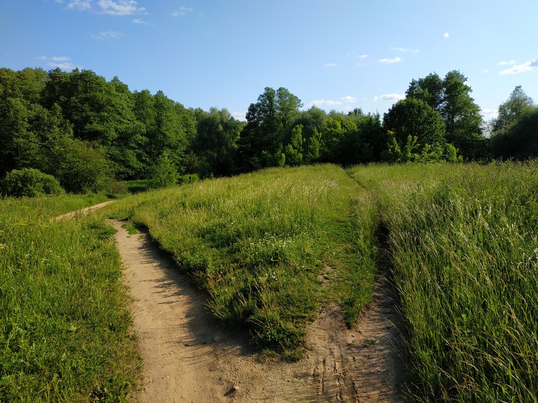 "Над тобою, поле, небо голубое, небо Родины моей" (из песни советских времён) - Андрей Лукьянов