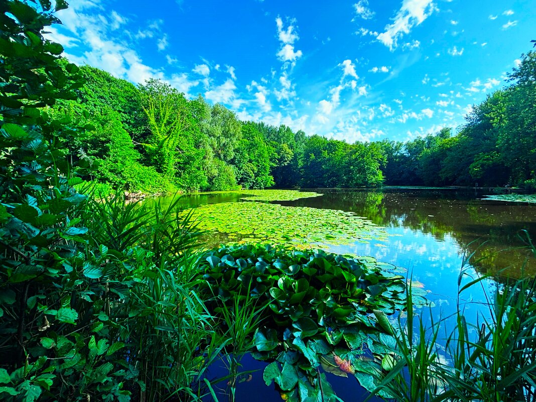 Озеро в конце июня - Aida10 