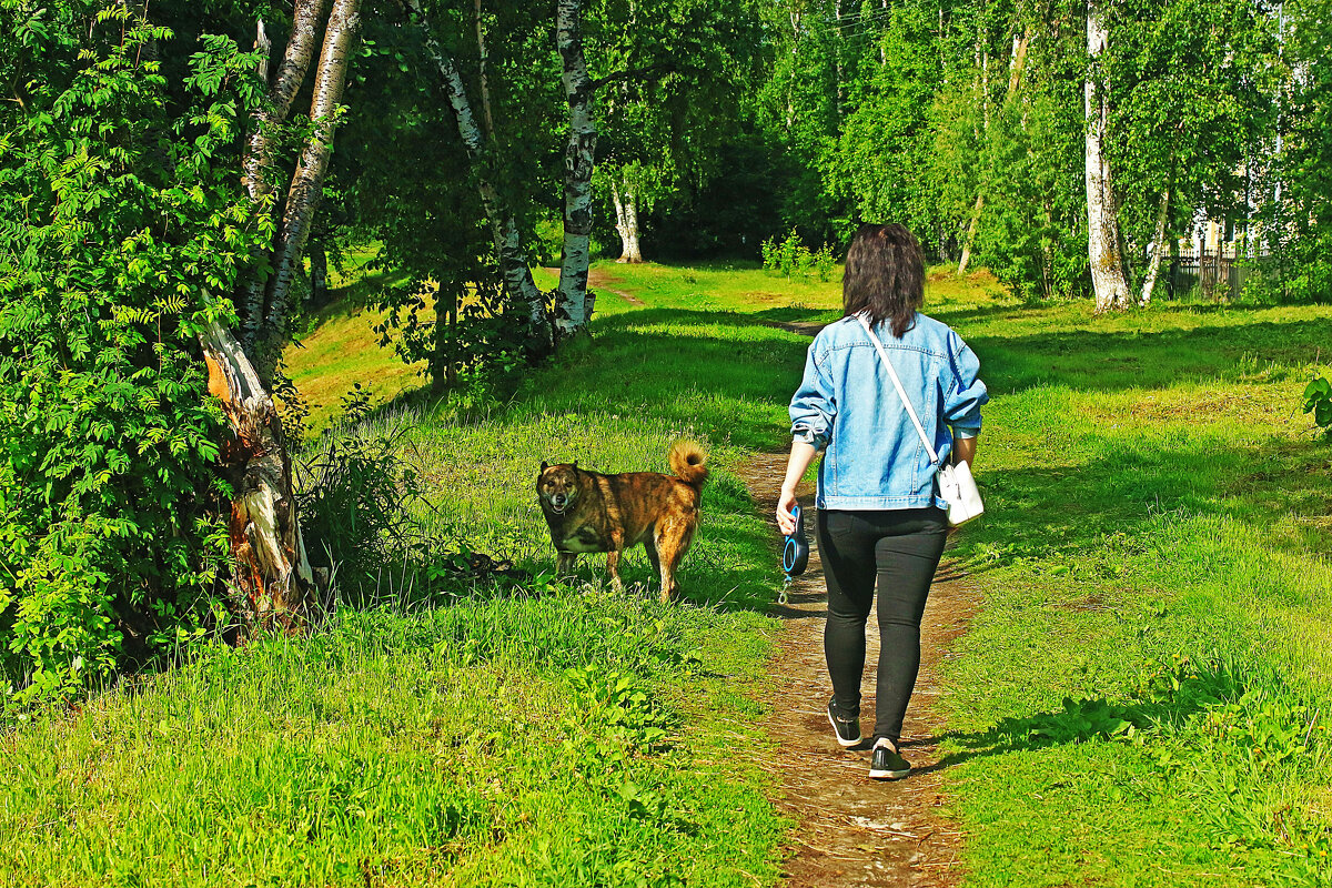 Июнь...Утром на церковном холме с собакой! - Владимир 