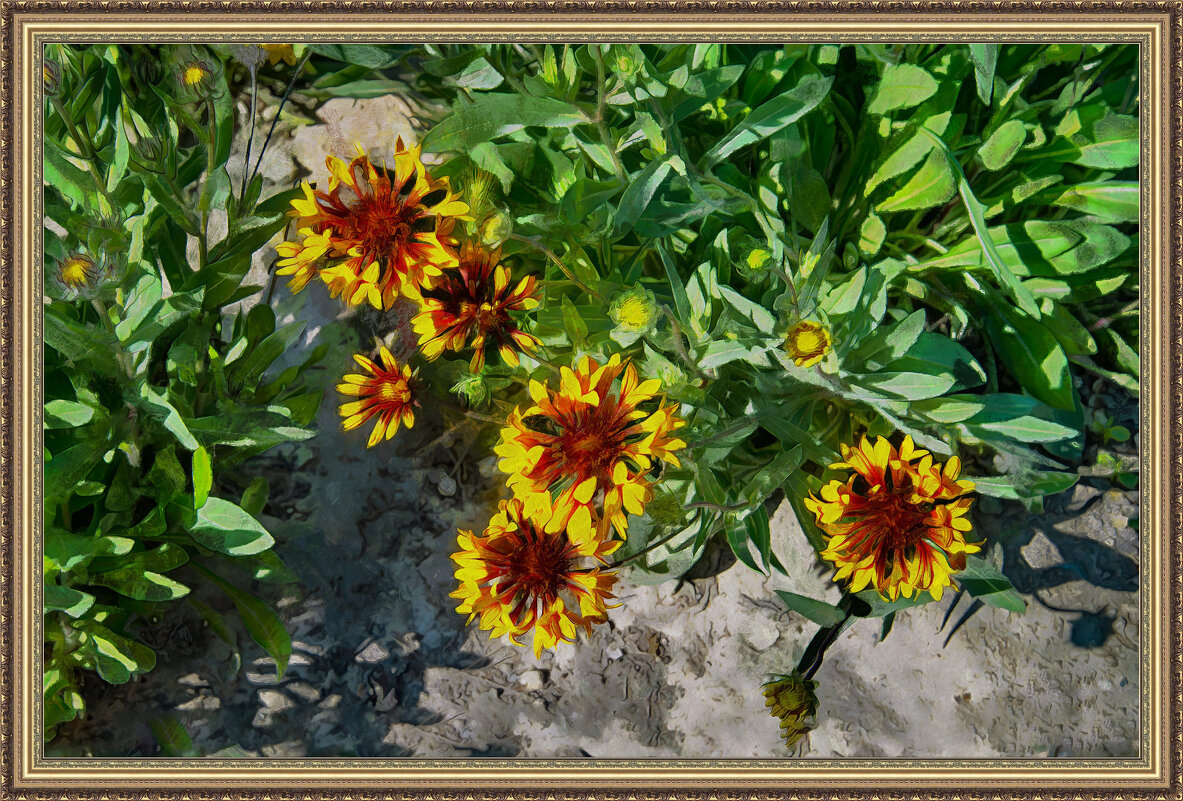 Цветы - Анатолий Чикчирный