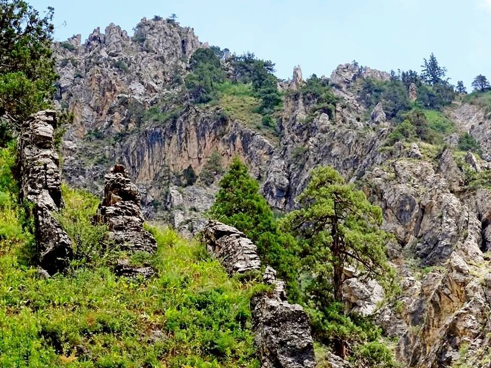 ПО ГОРАМ. - Виктор Осипчук