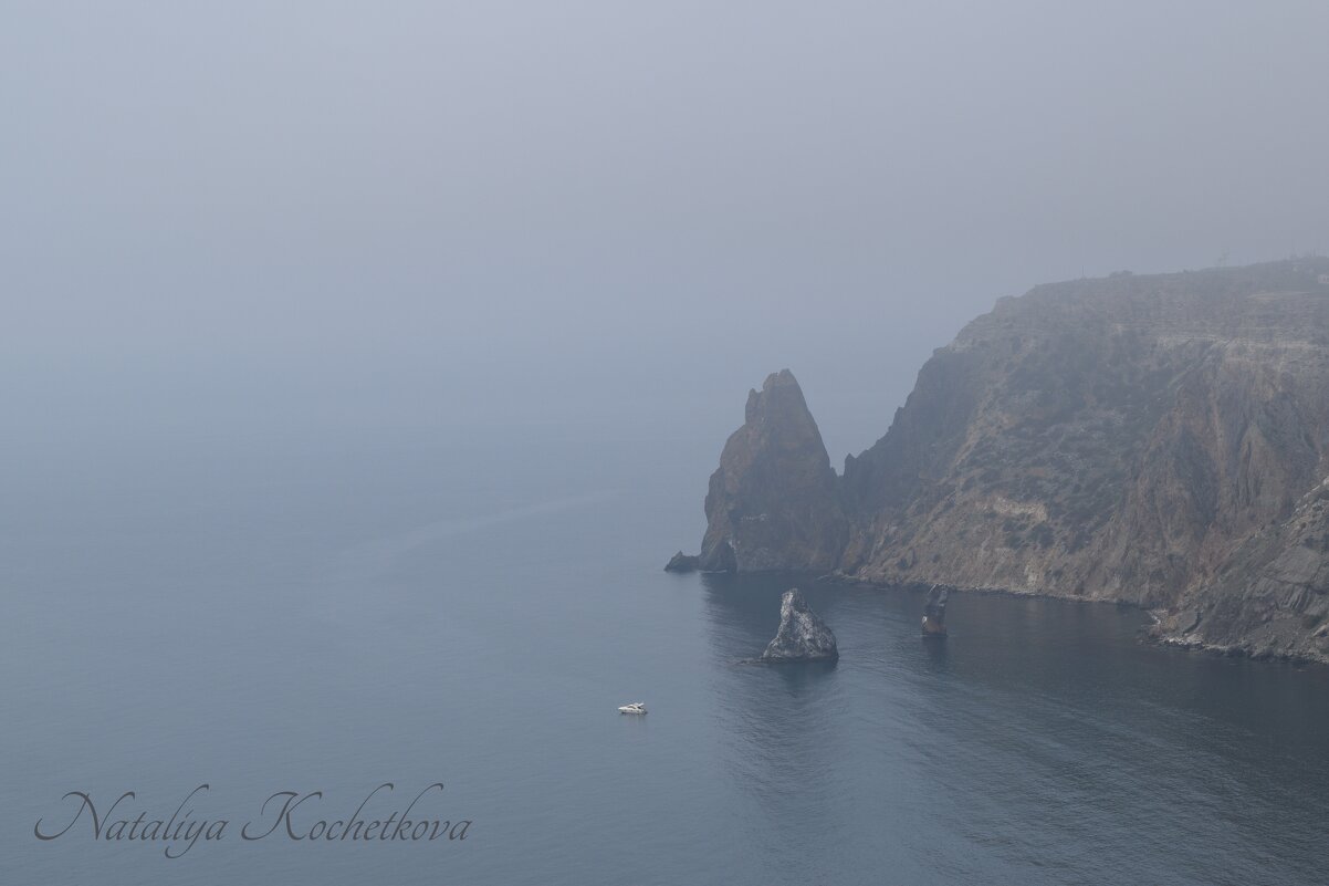 Природа Крыма - Amazing Cosmea