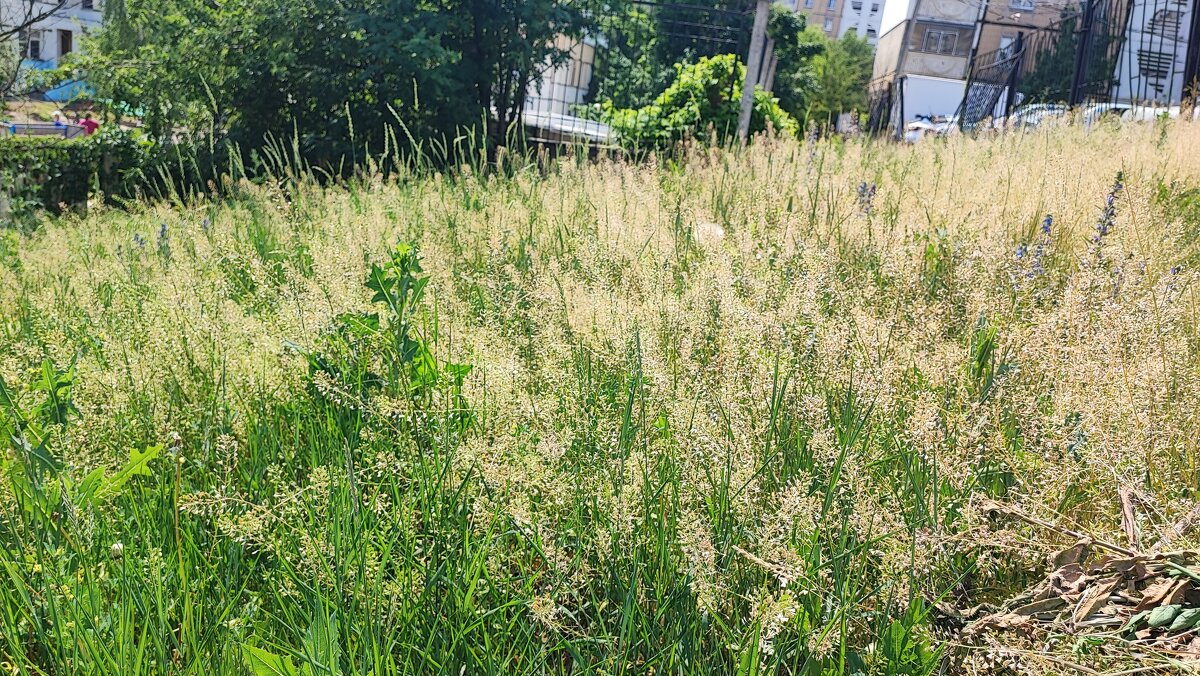 ,,, - Сергей Тимоновский