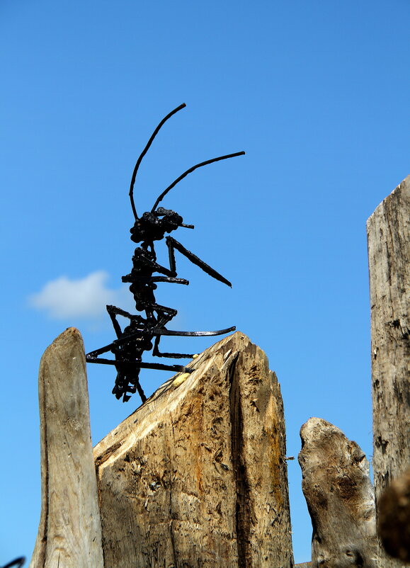 Турист с острова Мадагаскар - Vlad Сергиевич