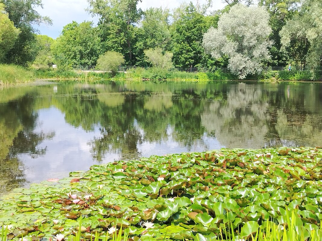 В ботаническом саду - Надежда 