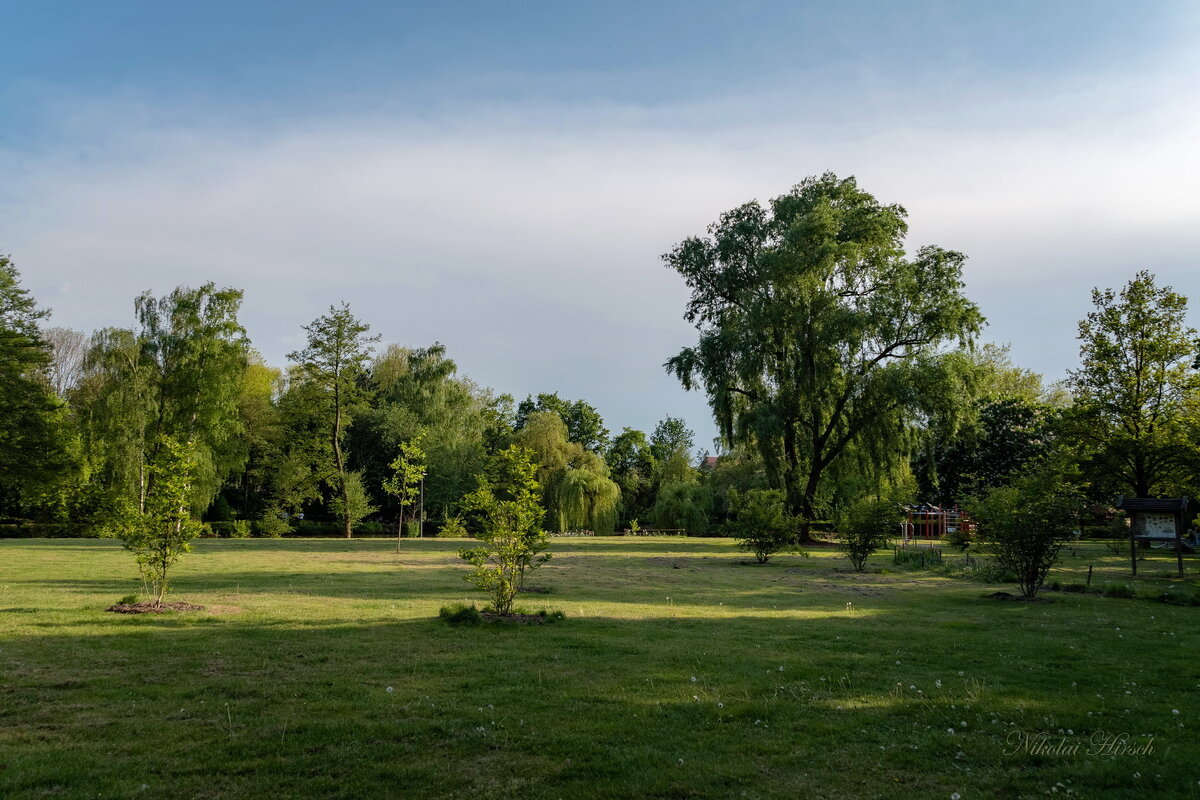 В парке... - Николай Гирш