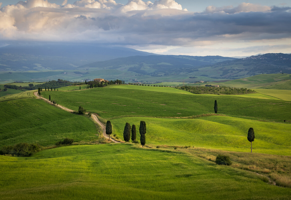 Тоскана в мае - Алекс Римский Тоскана в мае - Алекс Римский