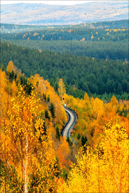 Ящерка - александр 