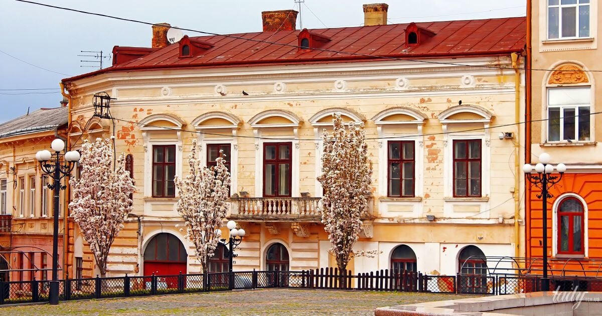 м Чернівці  полудень - Степан Карачко