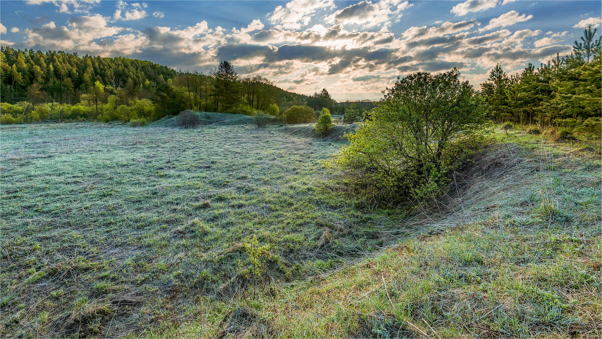 "Заморозки на почве" - **** vedin