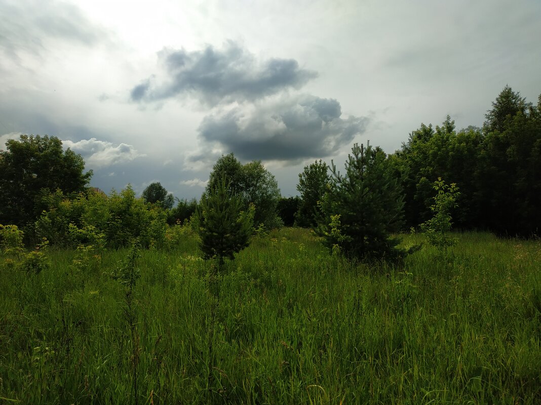 * * * - Андрей Лукьянов * * * - Андрей Лукьянов