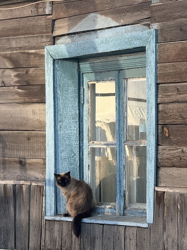 Кошка в окошке - Екатерина Маринина