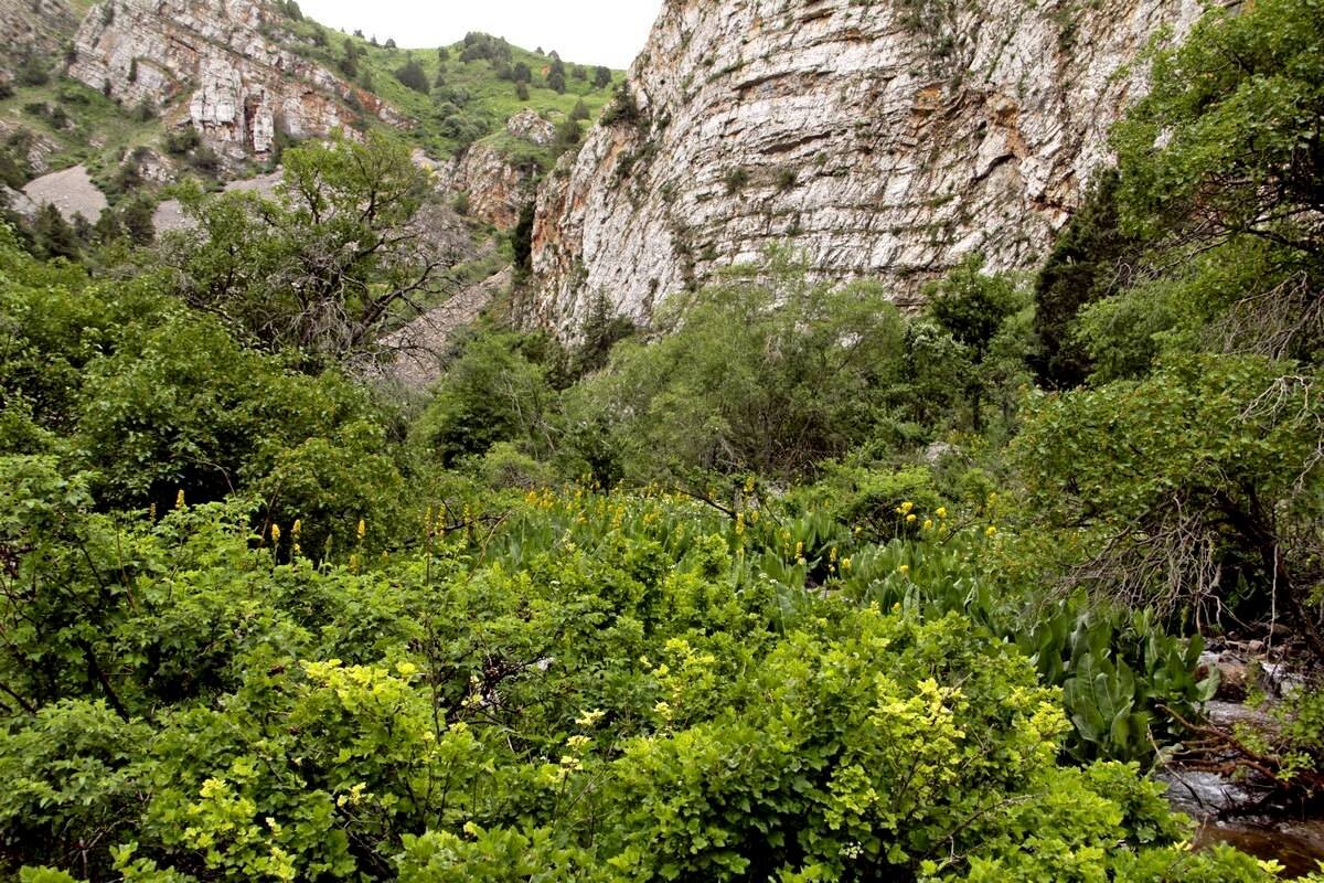 ДОРОГИ РАЗНЫЕ БЫВАЮТ. - Виктор Осипчук