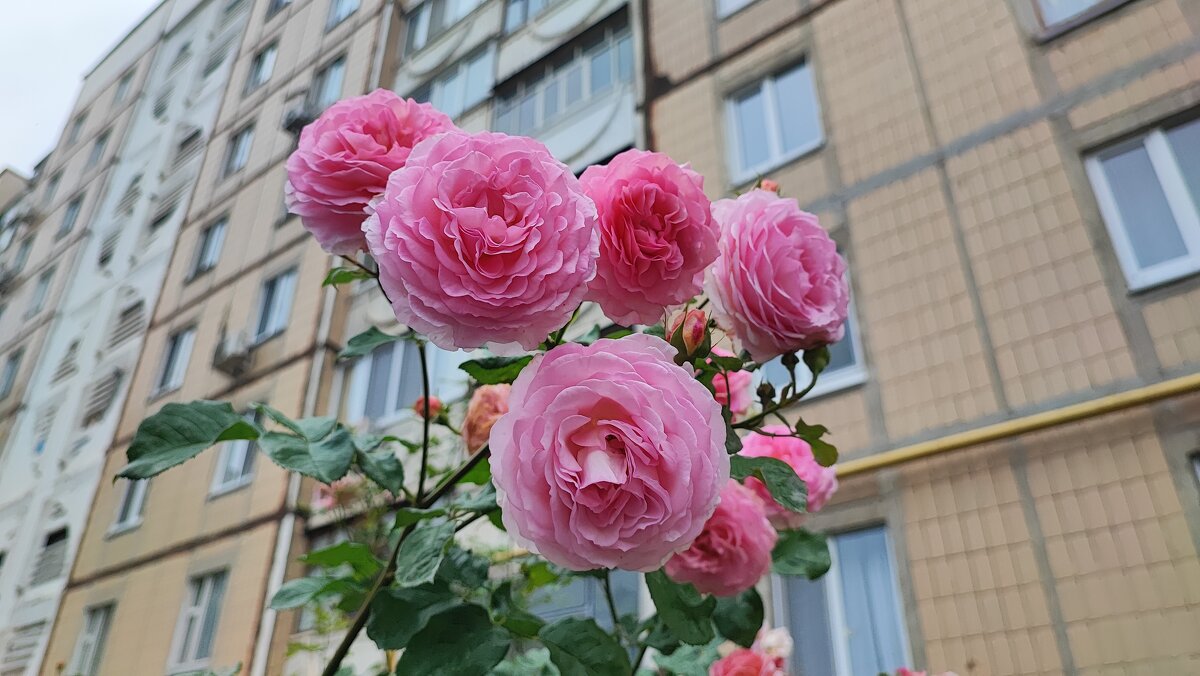 ,,, - Сергей Тимоновский ,,, - Сергей Тимоновский