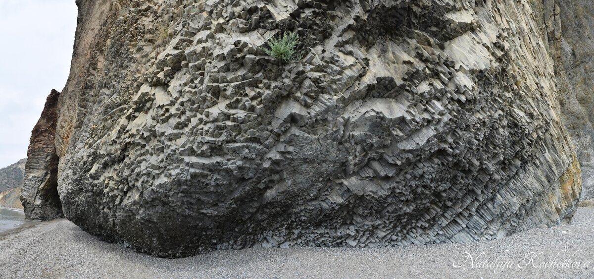 Природа Крыма - Amazing Cosmea