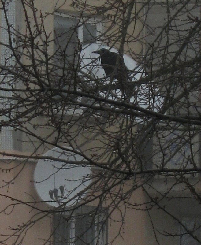 . - Александр Хоменко