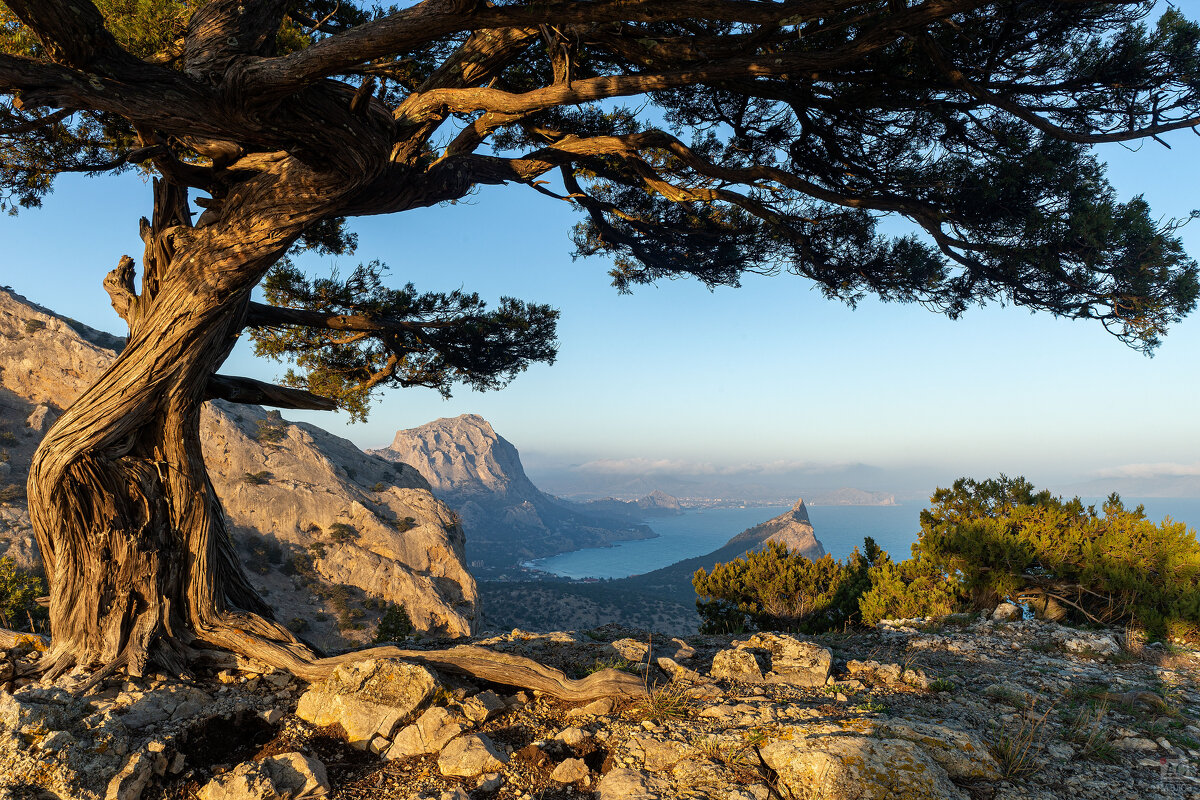 Коба-Кая - Алексей Павлов