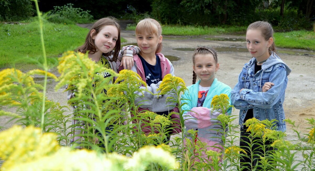 Девчата с нашего двора. - Владимир Помазан