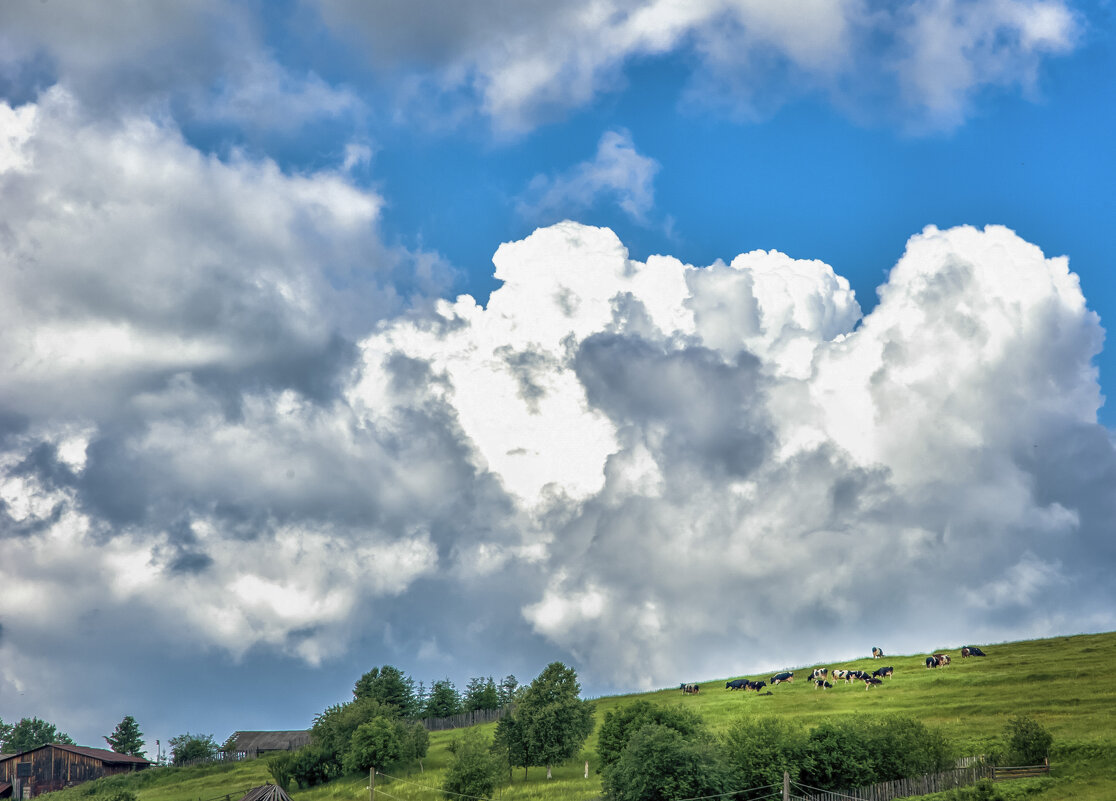 на околице - александр 