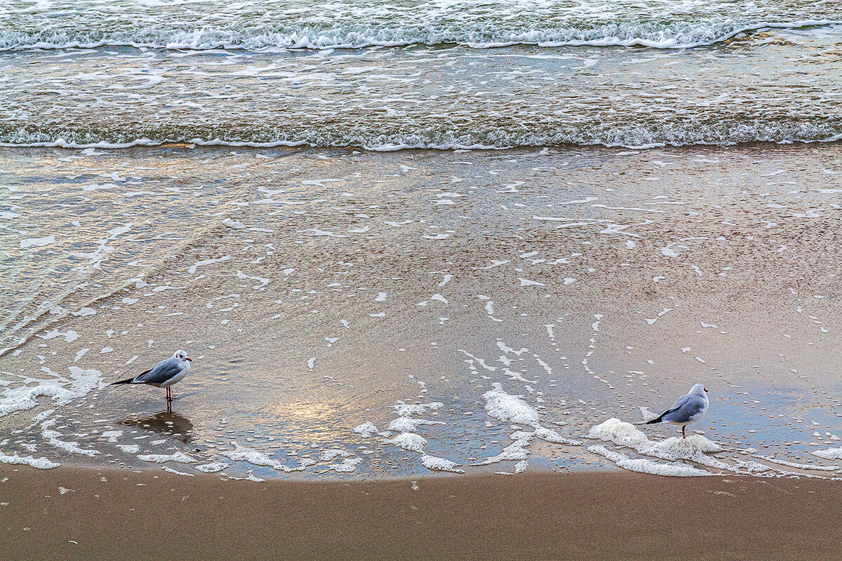 Балтика - Дмитрий 