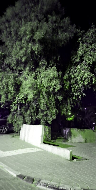 13  ОПЕН (183) - OPEN WAYS ALL