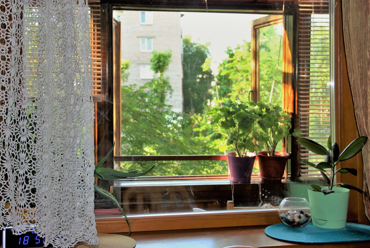 Мой дом. - Венера Чуйкова Мой дом. - Венера Чуйкова