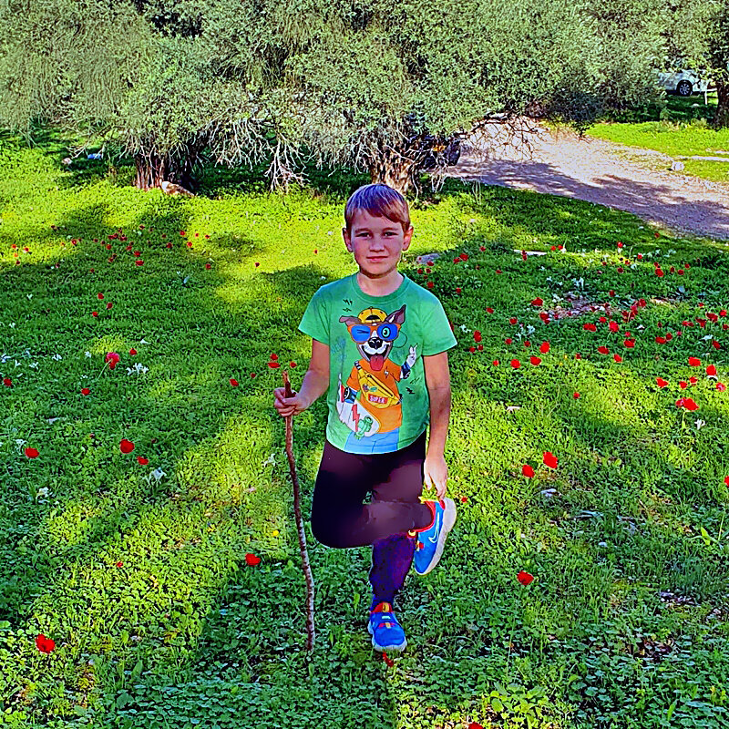 МАКИ   ПОД   ОХРАНОЙ - Анатолий Малобродский