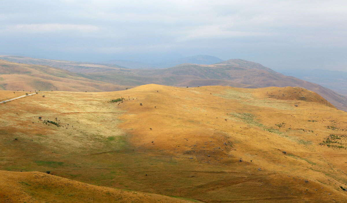 холмы - Andrey Bragin 