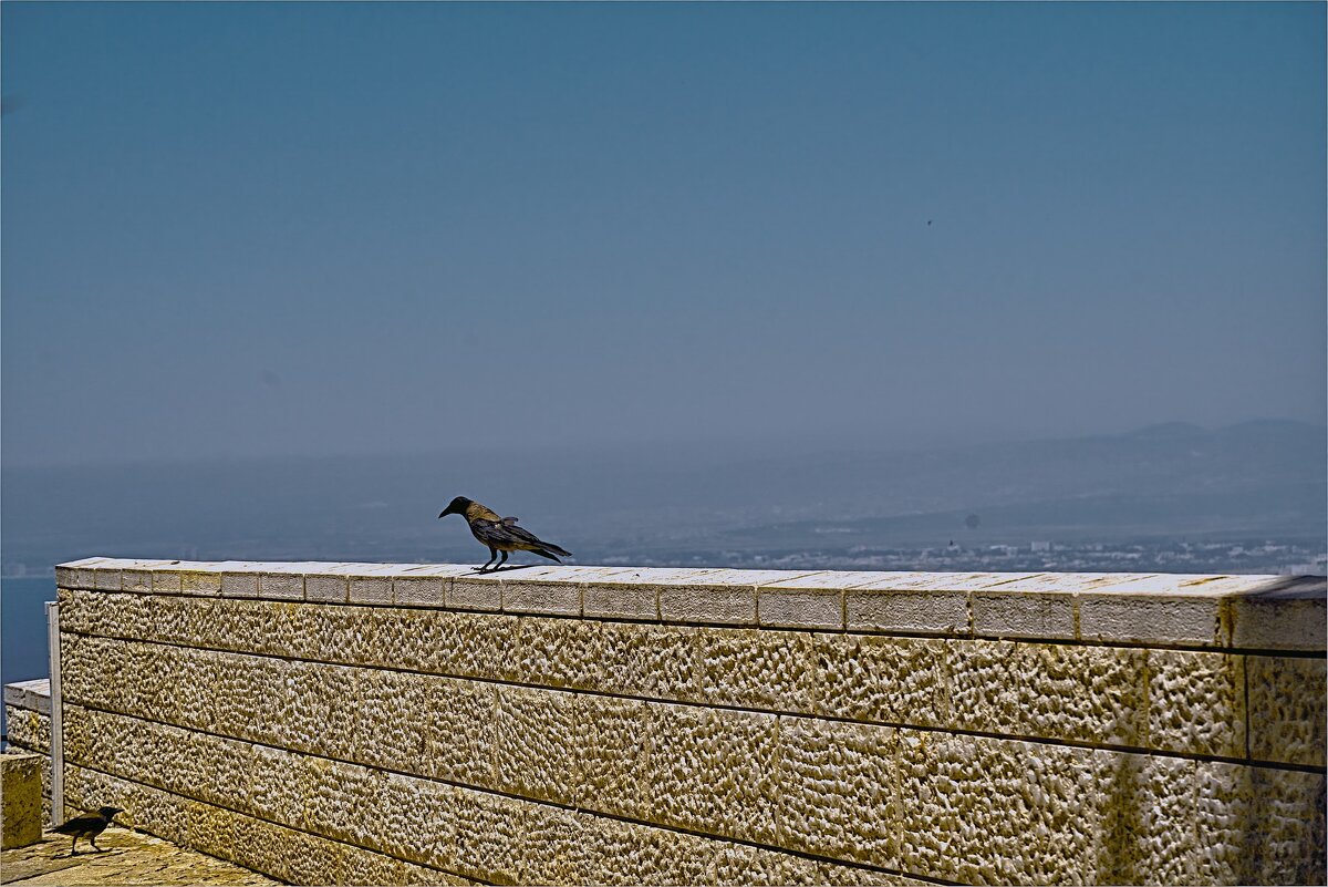 Хайфа 06,2025год - ujgcvbif 