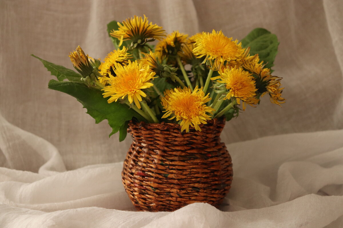 В тёплых тонах - Любовь Сахарова