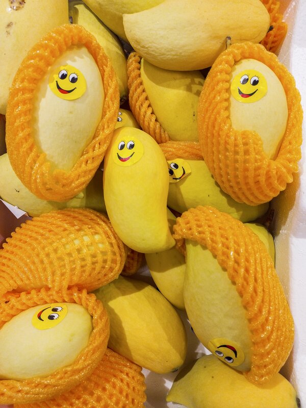 Весёлые ребята - Валерий Иванович