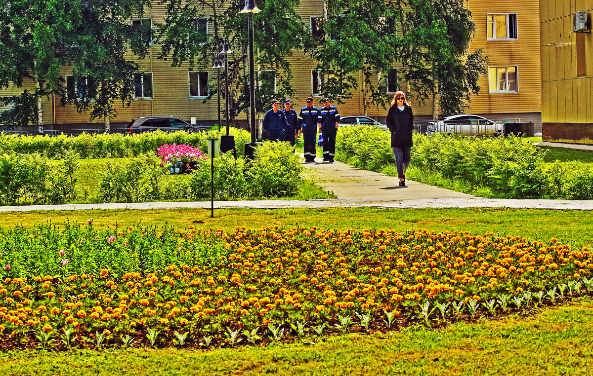 Из серии "Летние уголки Нефтеюганска"! - Владимир 