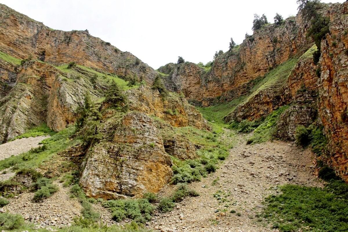 ПО ГОРАМ. - Виктор Осипчук