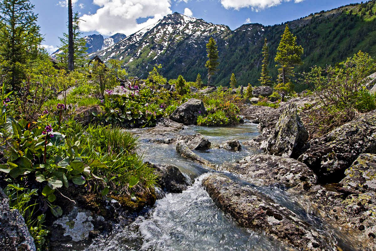 Водопад - Виктор Фоменко