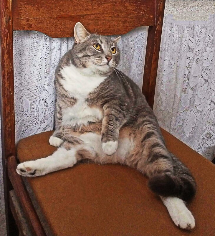 Марфа я... - Ирина *