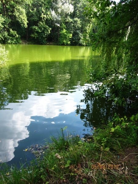 Просто красиво - Натали 