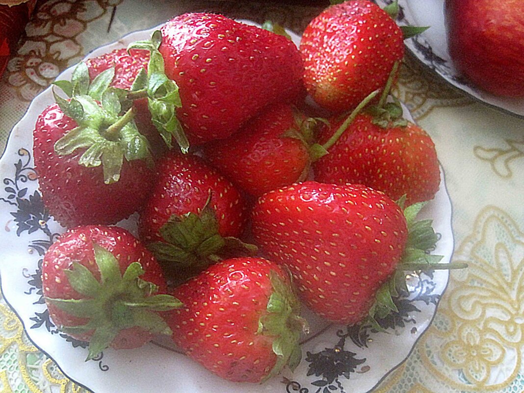 Клубничное утро - Елена Семигина