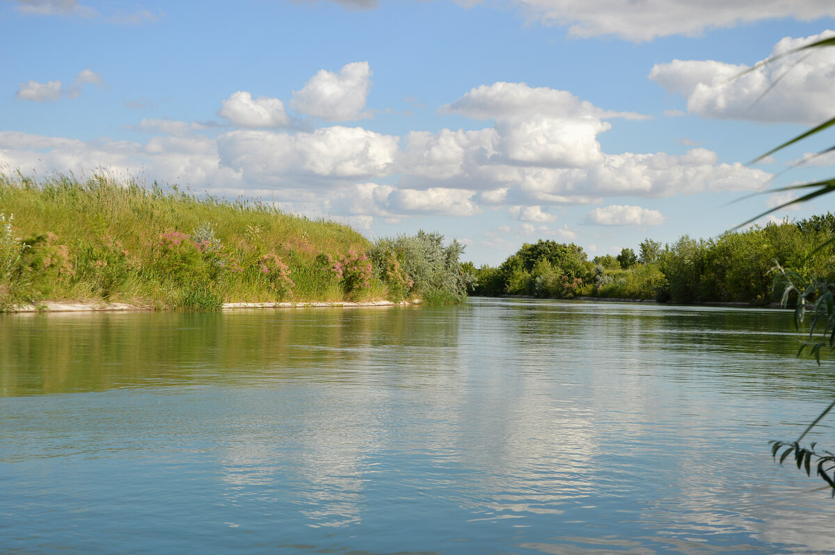 Право - Егорлыкский канал - Надежда Куркина 