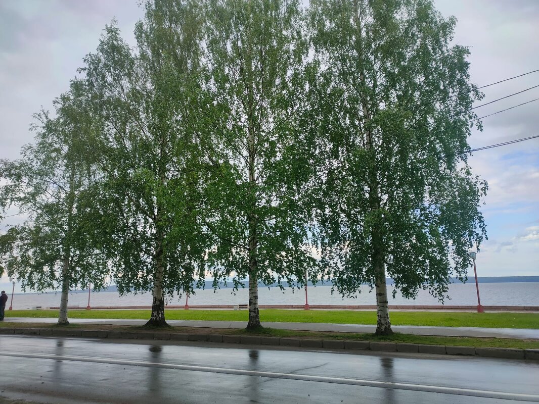 Набережная в Петрозаводске - Ирэн 