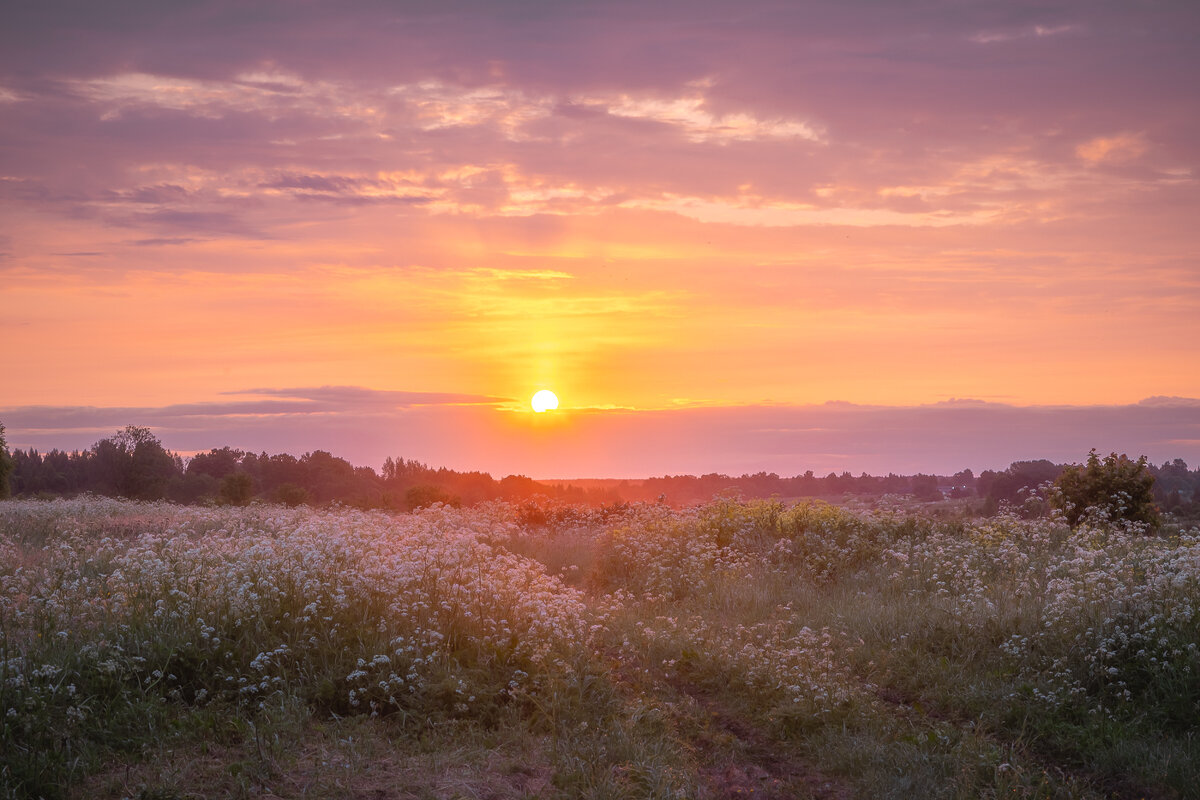 **** - Елизавета .