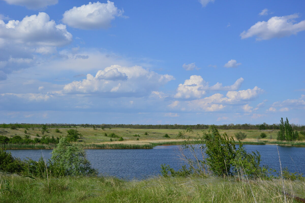Оазис в степи. - Виктор 