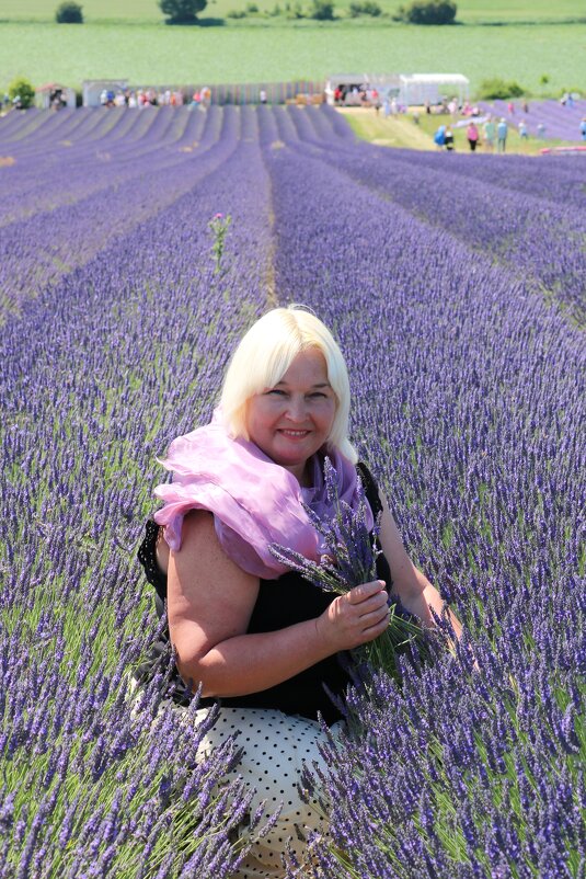 лавандовое настроение - Светлана Баталий