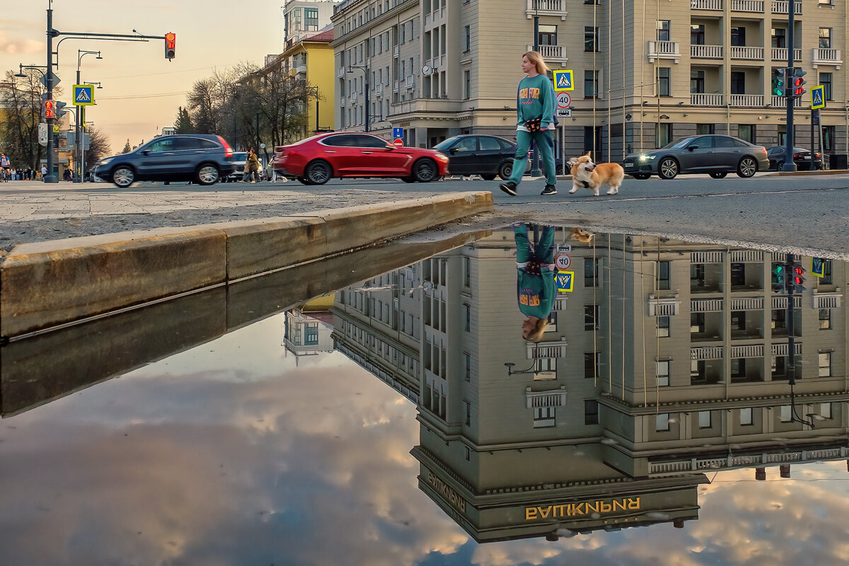 После дождя... - Сергей Шатохин 