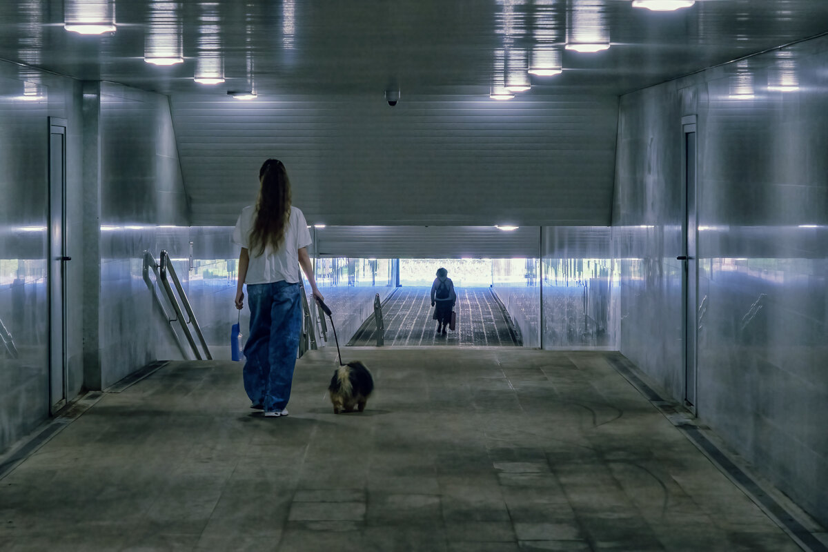 "В конце тоннеля яркий свет, он есть всегда..." - Сергей Шатохин "В конце тоннеля яркий свет, он есть всегда..." - Сергей Шатохин