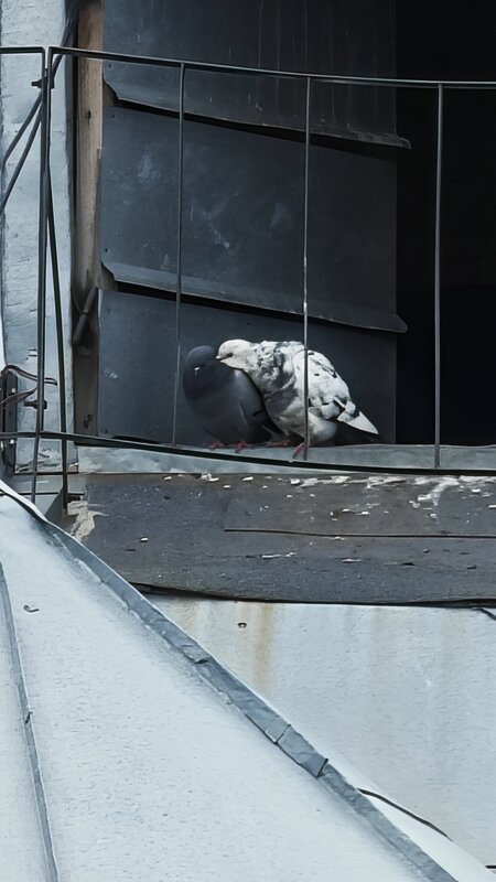 Я тебе шепну на ушко... - Станислав Мутовин